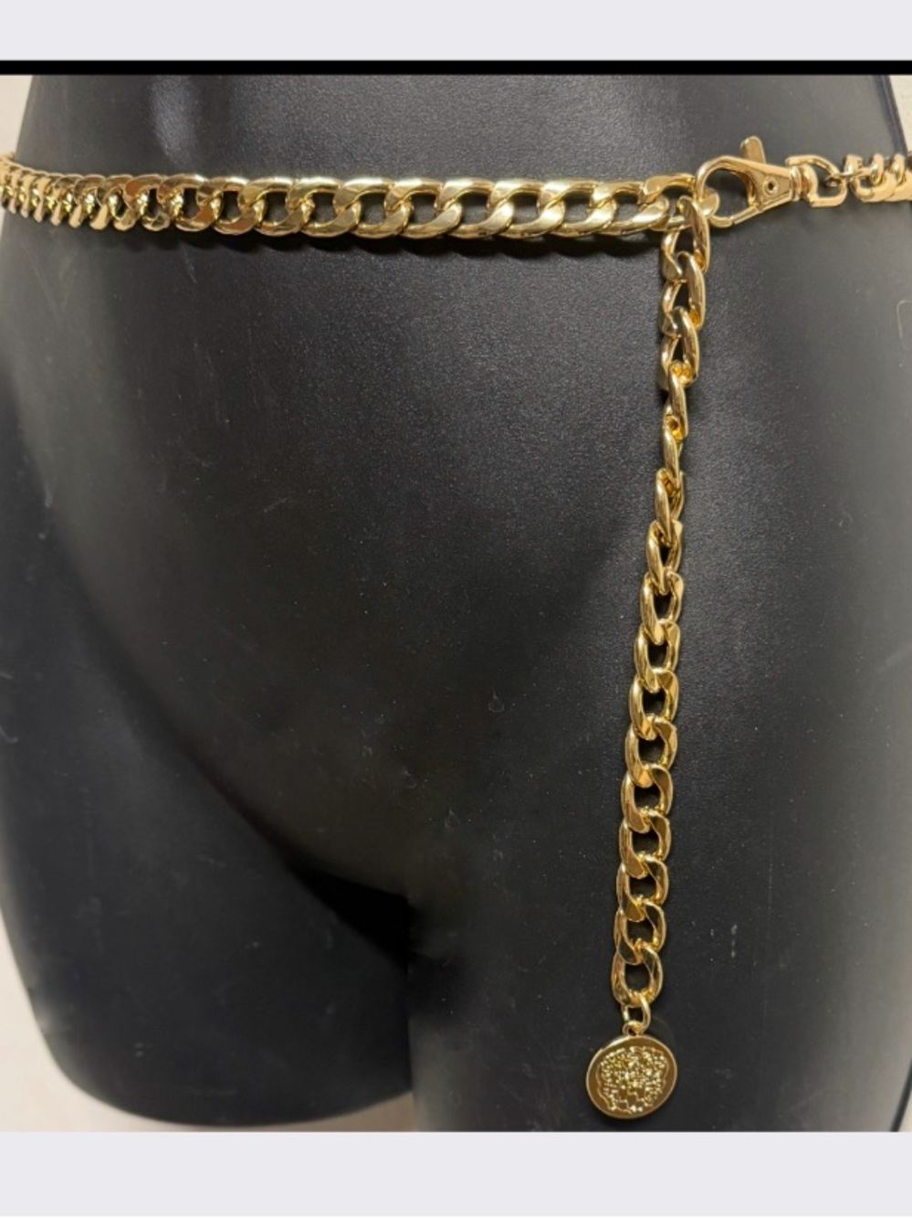 Vintage Gold Chain Link Waist Belt with Medallion Charm